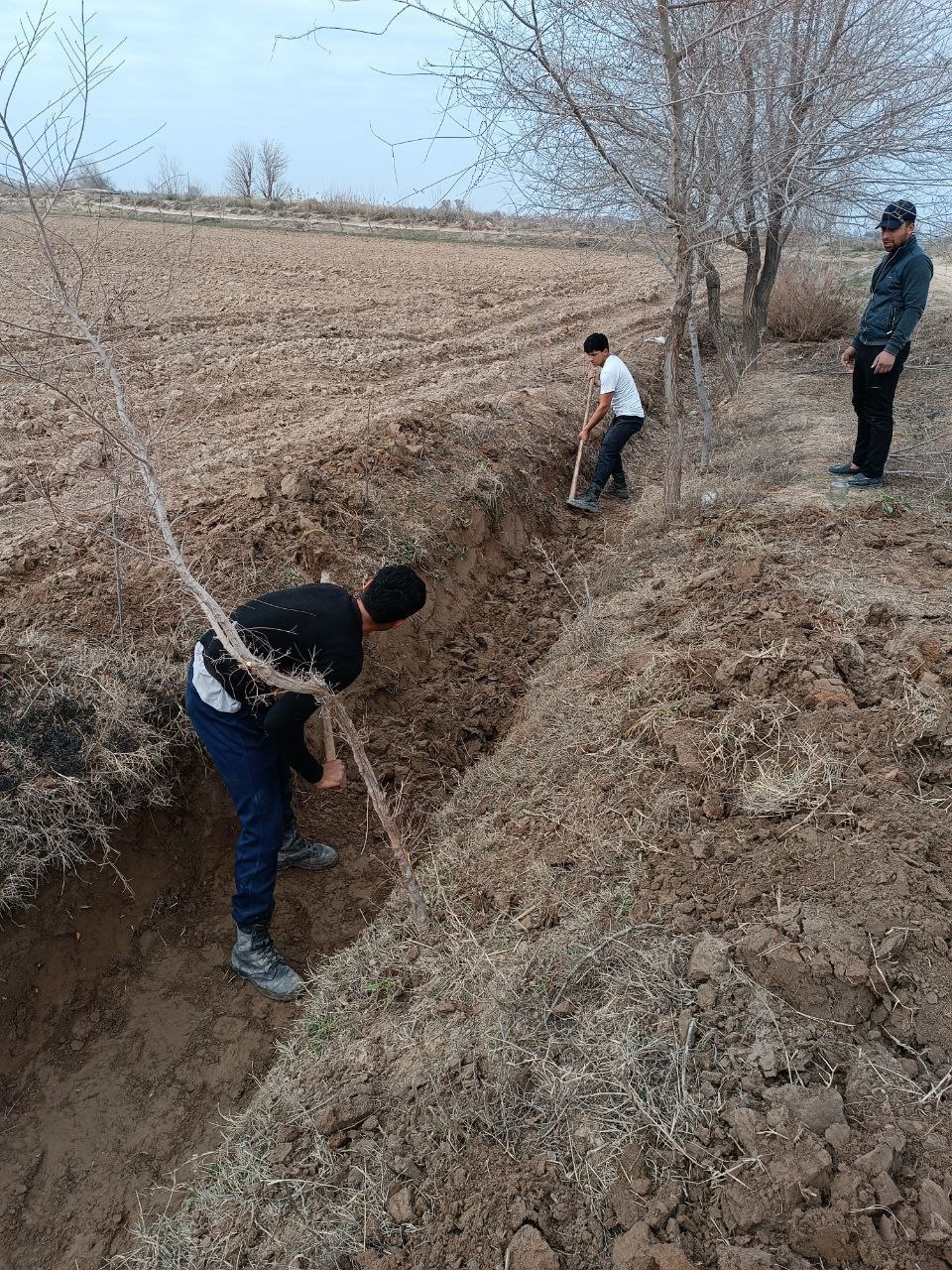 СУҒОРИШ ТАРМОҚЛАРИ МАВСУМГА ШАЙ