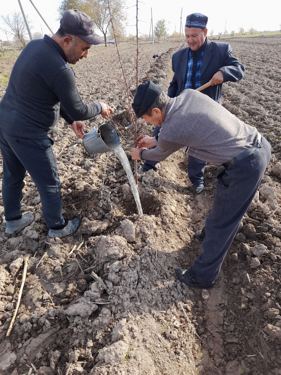 Қарши МК ИТБда яшил макон умуммиллий дастури бўйича олиб борилаётган ишлар