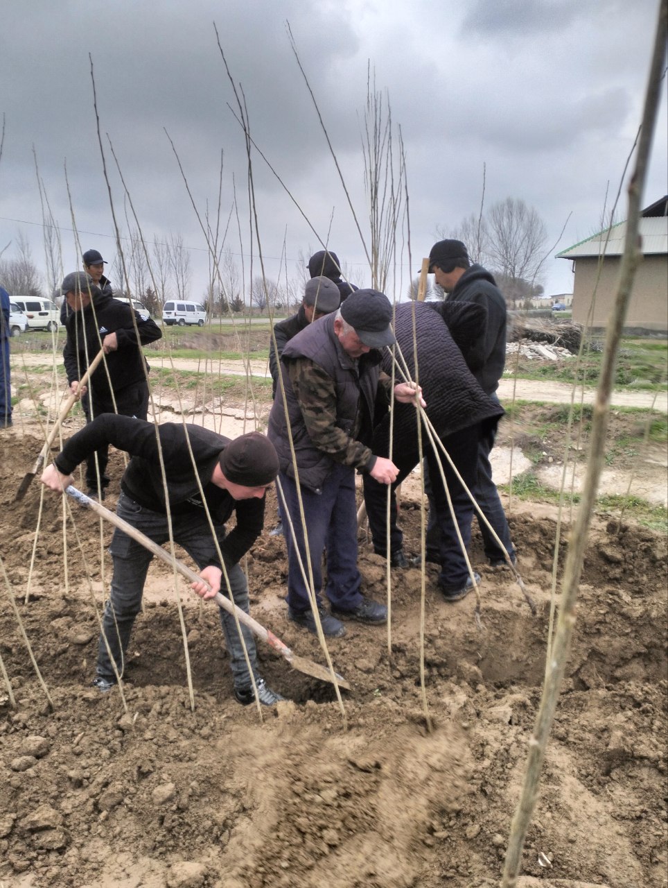 ЯККАБОҒЛИК СУВЧИЛАР ТОМОНИДАН БУГУНГАЧА 10 МИНГ ТУП КЎЧАТ ЎТҚАЗИЛДИ
